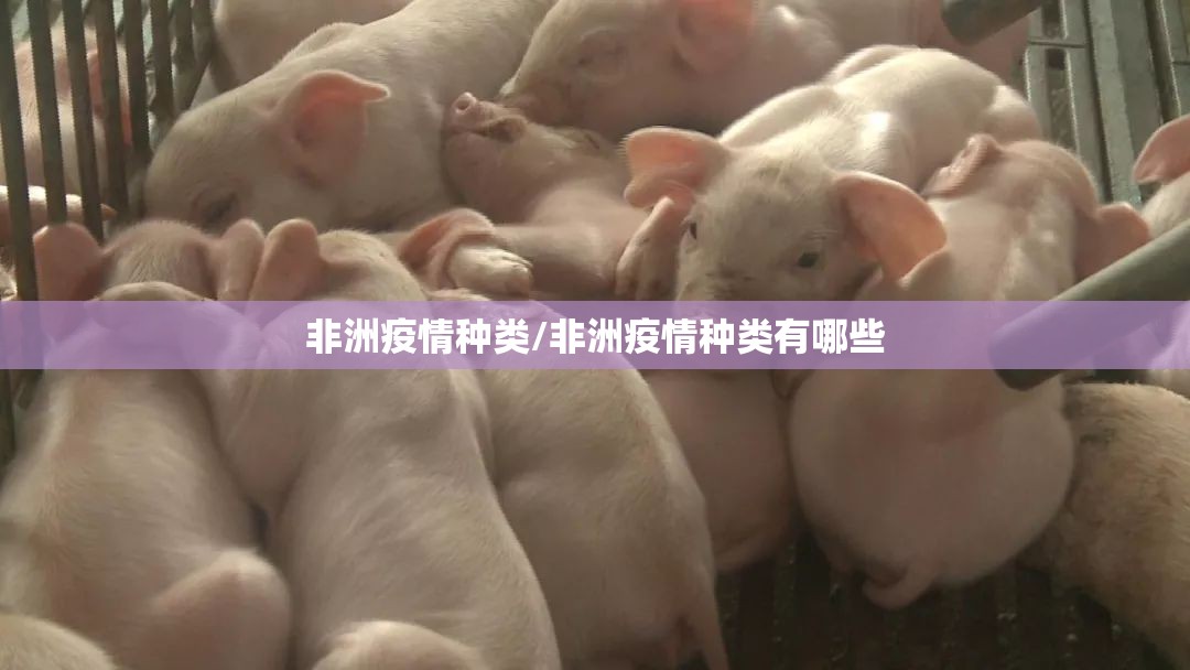 推荐一款湖南骨牌怎么开挂！详细开挂教程√其实是有挂