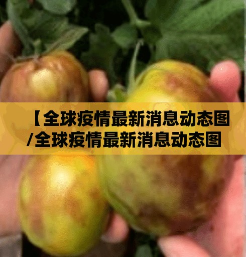 今日重大通报中至窝龙可以开挂,真的有挂其实有挂-知乎