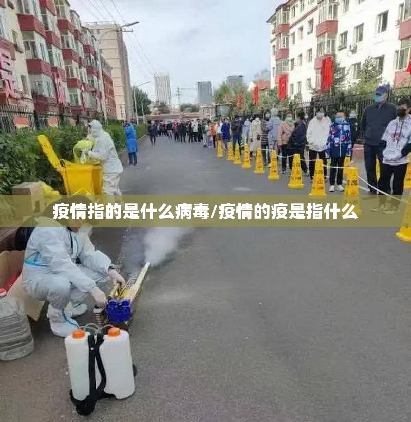 推荐一款圣游透视挂!(真的有挂)-知乎