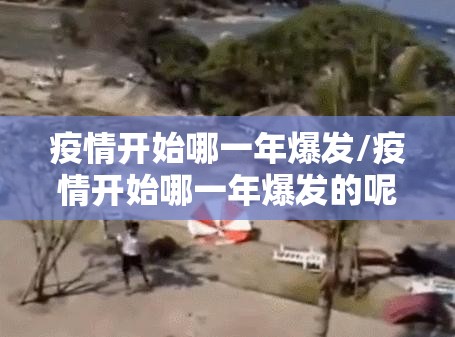 疫情开始哪一年爆发/疫情开始哪一年爆发的呢