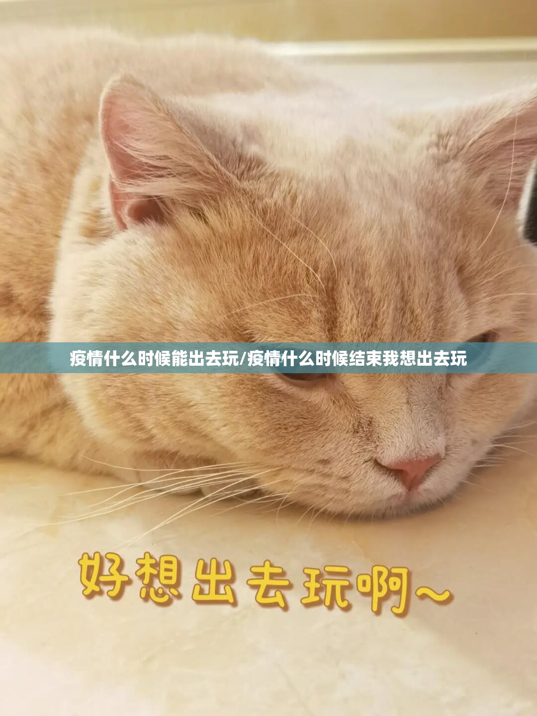 疫情什么时候能出去玩/疫情什么时候结束我想出去玩