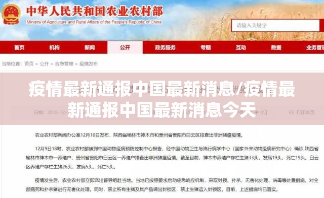 今日重大通报老铁联盟能开挂吗√太坑了原来有挂 今日重大通报老铁联盟能开挂吗√太坑了原来有挂