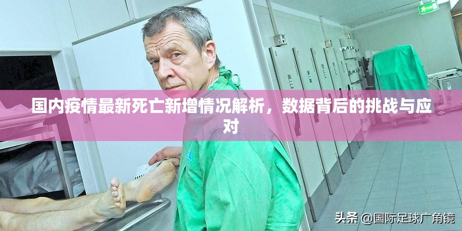 推荐一款酉游开挂透视教程其实真的确实有挂 推荐一款酉游开挂透视教程其实真的确实有挂