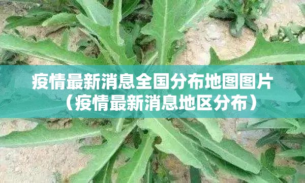 今日重大通报十三十三水其实有挂确实是有挂其实确实有挂