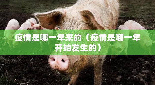 推荐一款星火燎原透视辅助挂果然有挂 推荐一款星火燎原透视辅助挂果然有挂