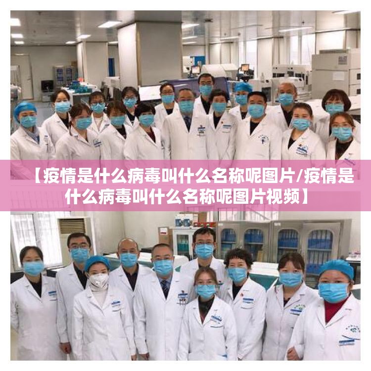 重磅.来袭葫芦犇犇万能开挂神器(真的有挂)-知乎 重磅.来袭葫芦犇犇万能开挂神器(真的有挂)-知乎