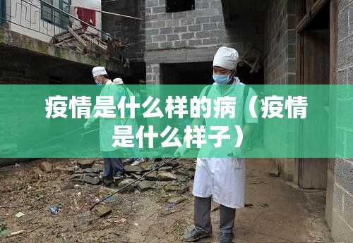 重磅.来袭“扎西茶楼有没有挂确实果然有挂”√其实是有挂 重磅.来袭“扎西茶楼有没有挂确实果然有挂”√其实是有挂