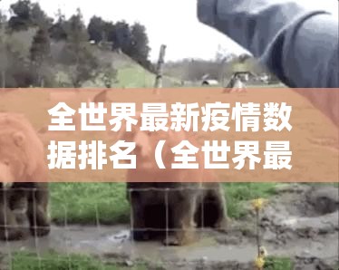 分享实测扎西茶楼确实是有挂√确实真的有挂