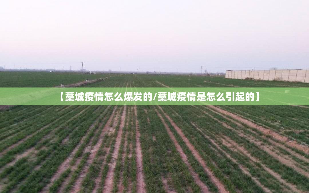 【藁城疫情怎么爆发的/藁城疫情是怎么引起的】