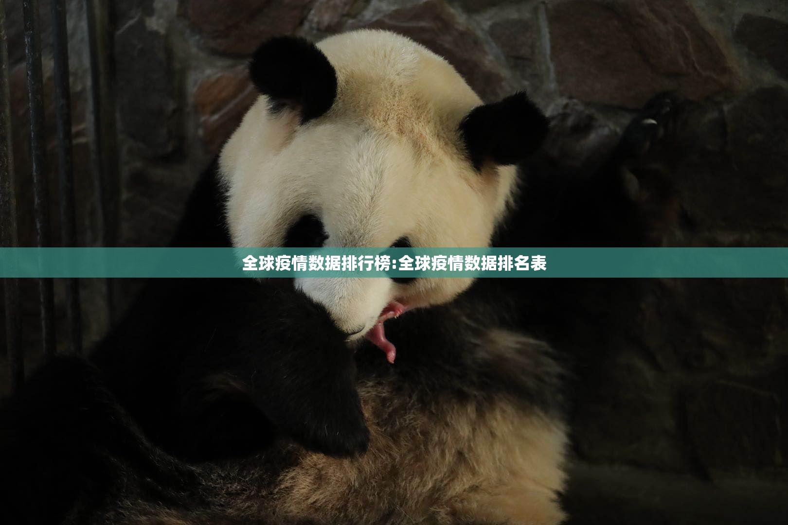 重大通报“科乐斗地主果然有挂确实有挂”其实有挂-知乎 重大通报“科乐斗地主果然有挂确实有挂”其实有挂-知乎