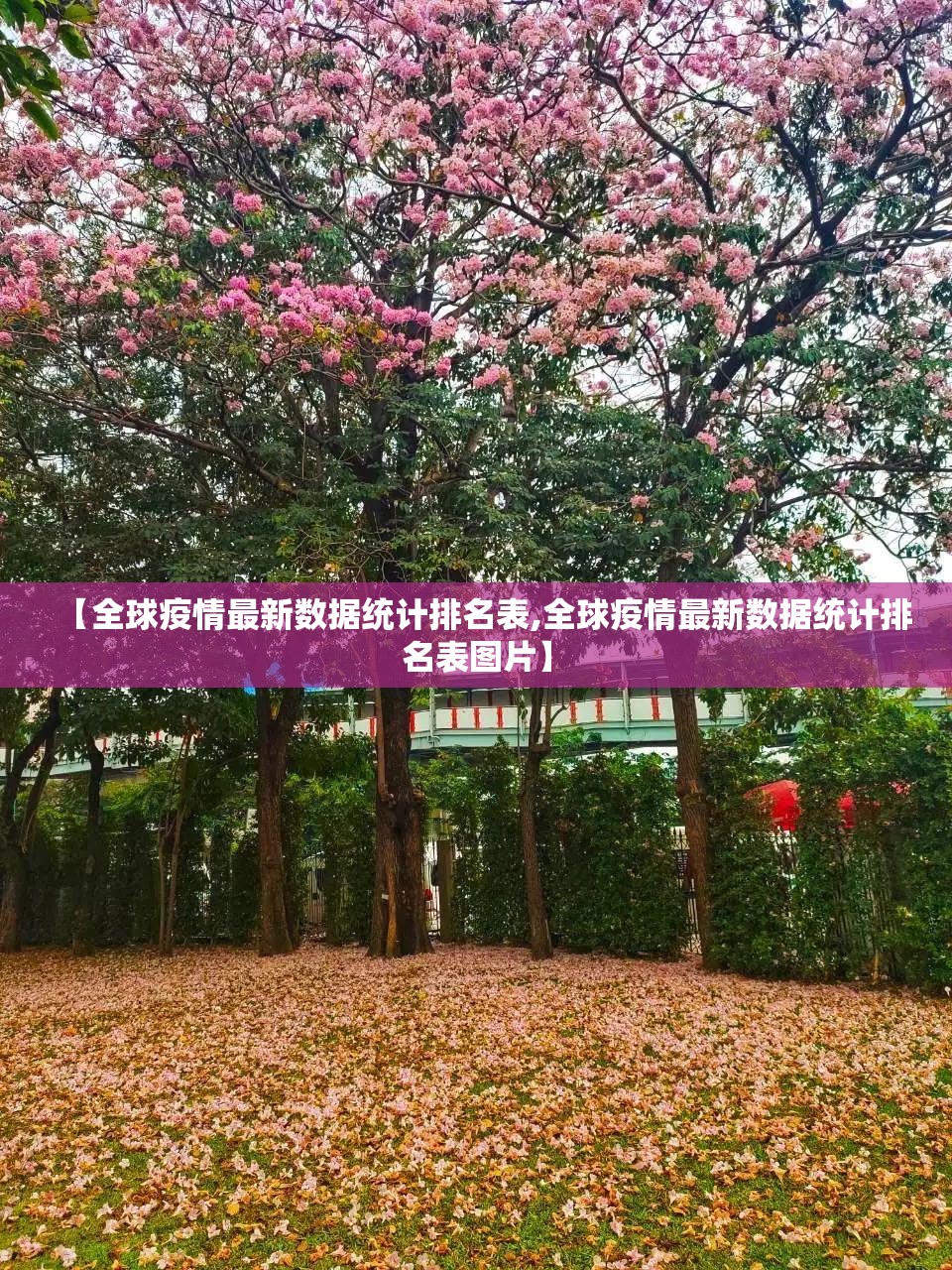 推荐一款泸州大贰到底有挂吗!√太坑了原来有挂