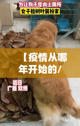 分享实测越乡游麻将开挂软件方法其实确实有挂 分享实测越乡游麻将开挂软件方法其实确实有挂