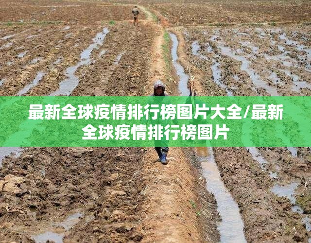 推荐一款青鸟大厅确实是有挂开挂神器