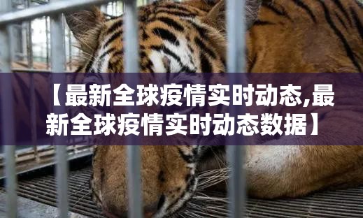 重大通报娱网皮球究竟有没有透视挂分享真的有挂给你