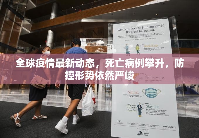 分享实测胜利透视软件原来真可以开挂 分享实测胜利透视软件原来真可以开挂