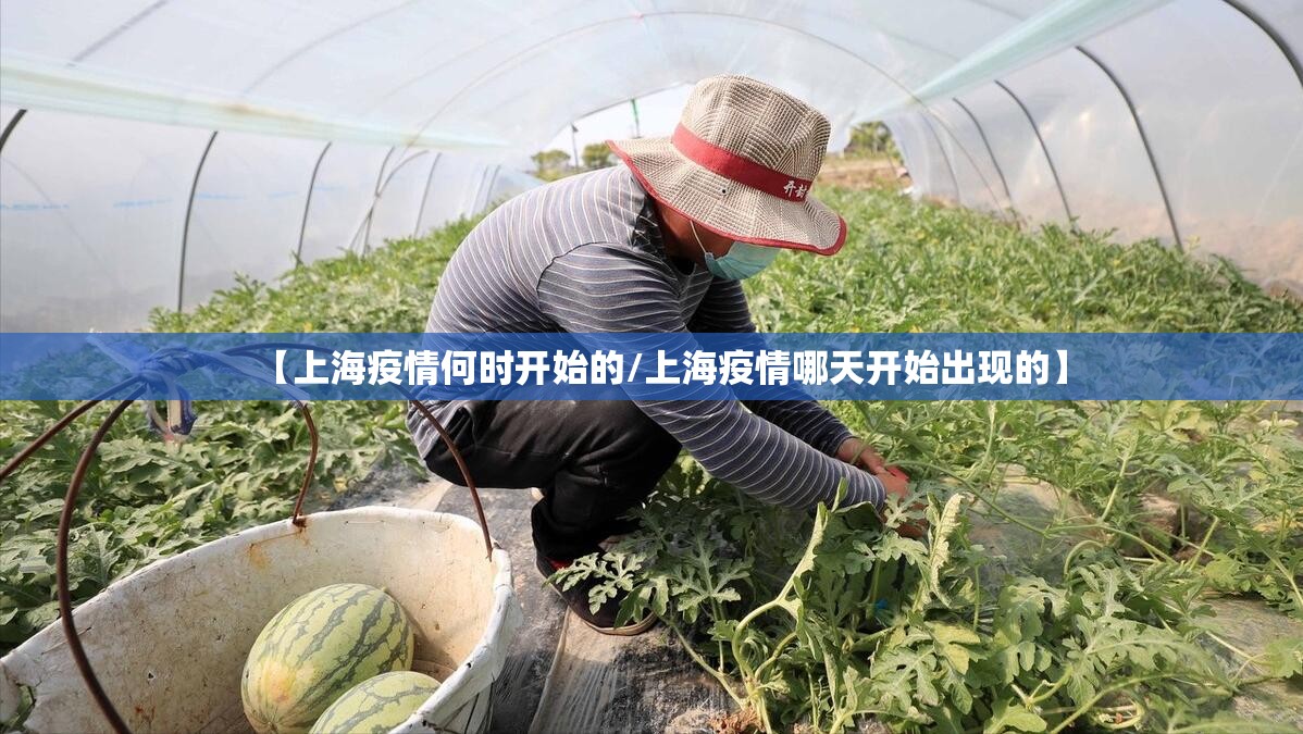 【上海疫情何时开始的/上海疫情哪天开始出现的】