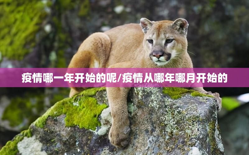 疫情哪一年开始的呢/疫情从哪年哪月开始的