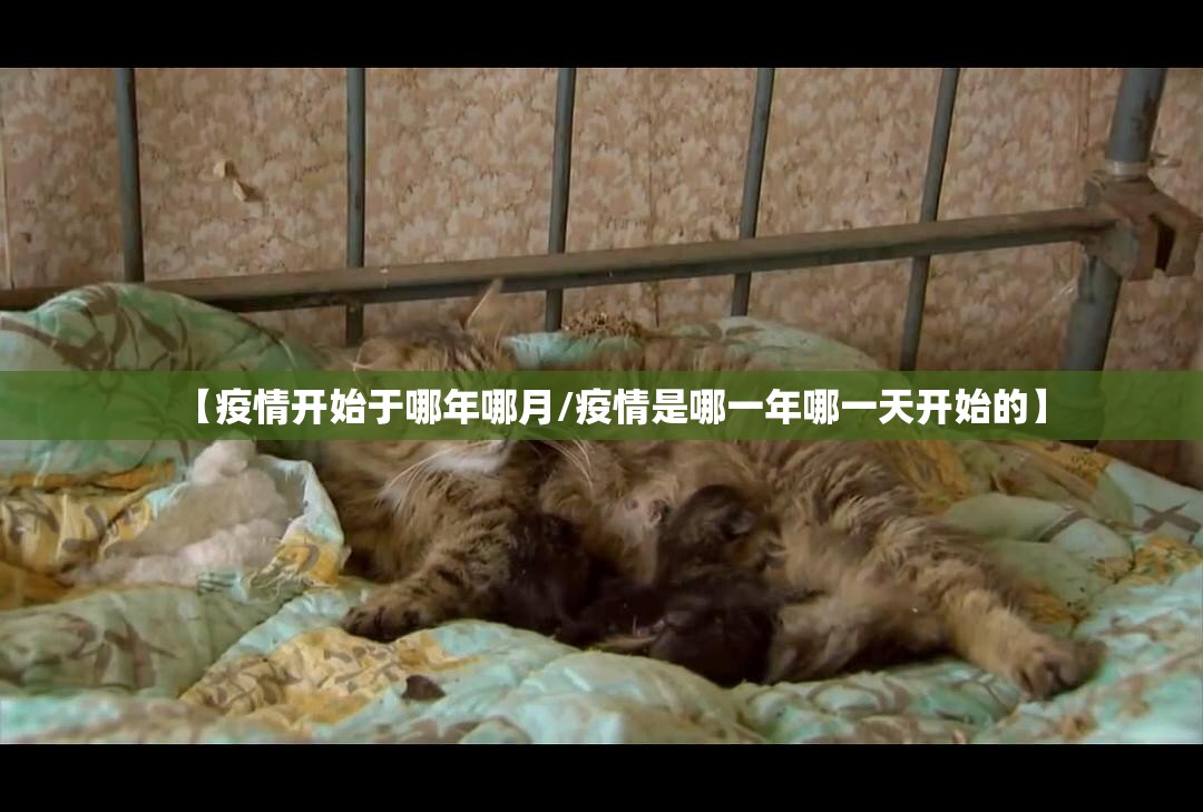 重磅.来袭新上游牛牛开挂下载安装√其实是有挂