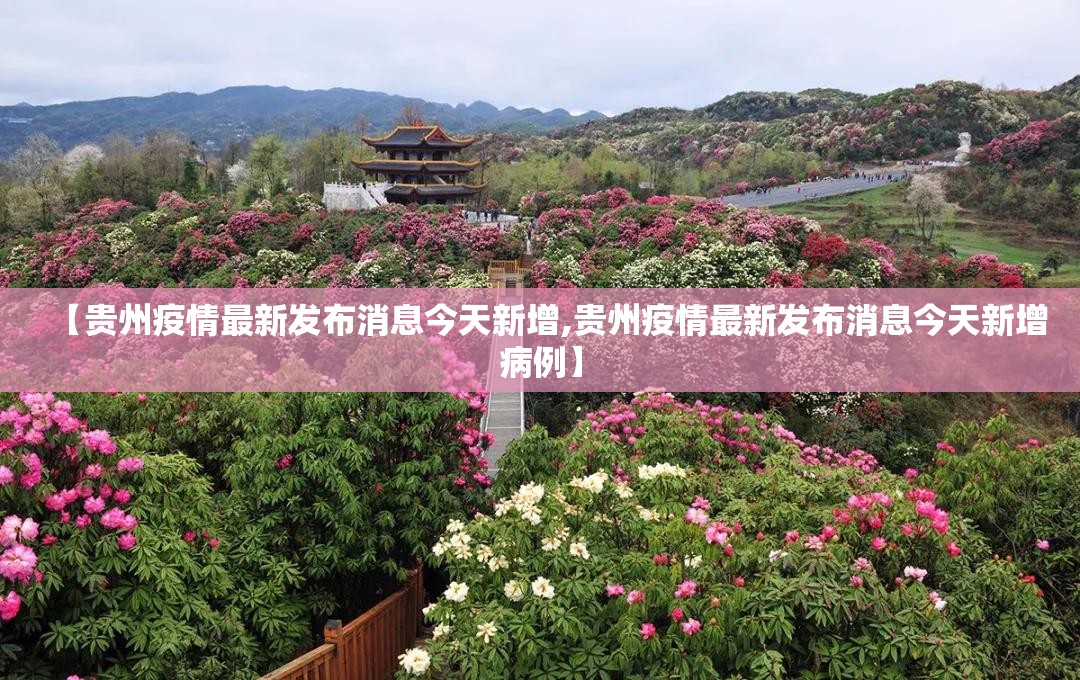 【贵州疫情最新发布消息今天新增,贵州疫情最新发布消息今天新增病例】