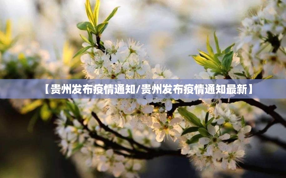 【贵州发布疫情通知/贵州发布疫情通知最新】
