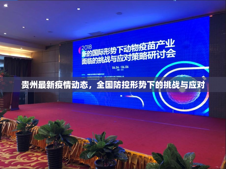 今日重大通报博雅曲靖棋牌确实是有挂√必胜开挂神器 今日重大通报博雅曲靖棋牌确实是有挂√必胜开挂神器