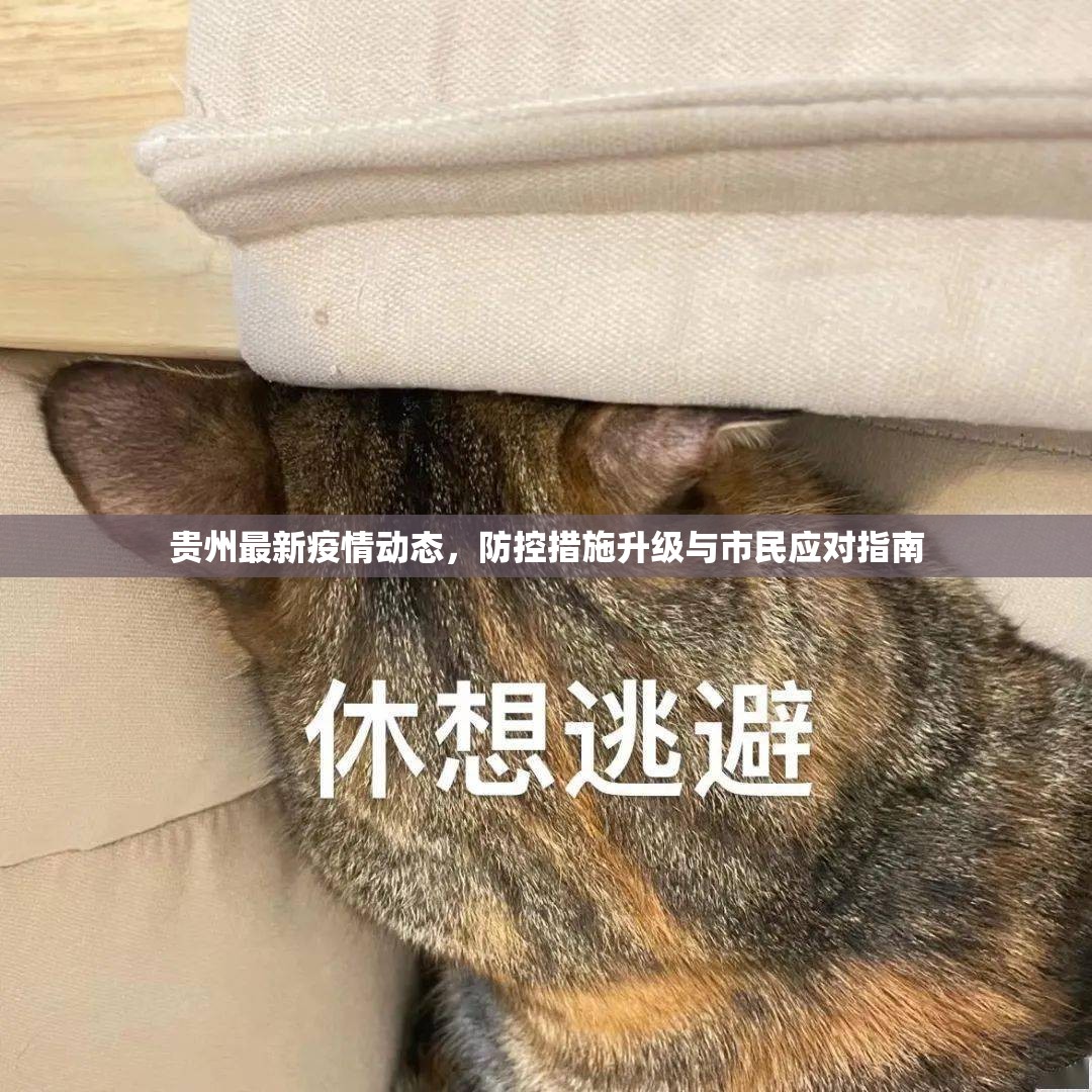 推荐一款“闲趣竞技透视挂!”开挂神器