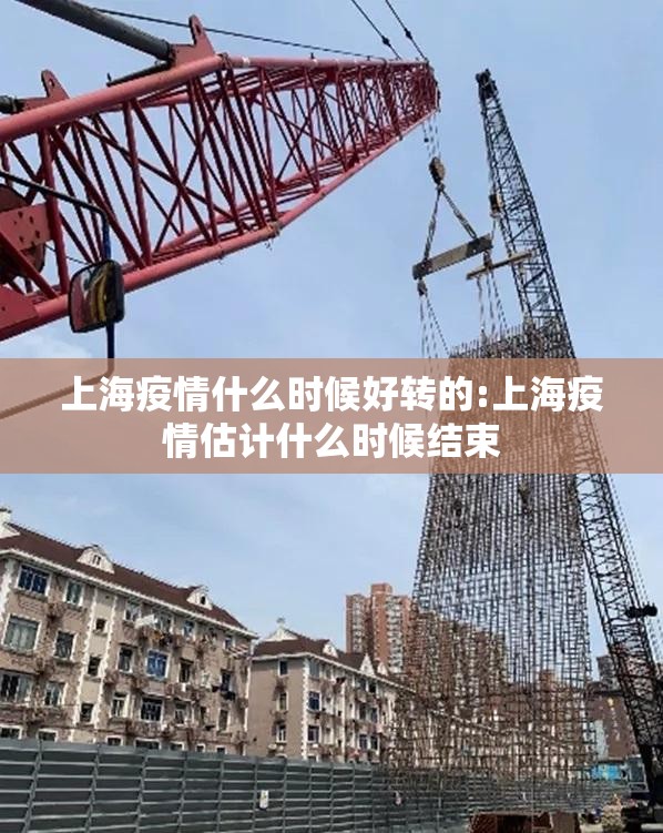 重磅.来袭九九茶楼外卦神器是真的吗(其实真的能开挂) 重磅.来袭九九茶楼外卦神器是真的吗(其实真的能开挂)