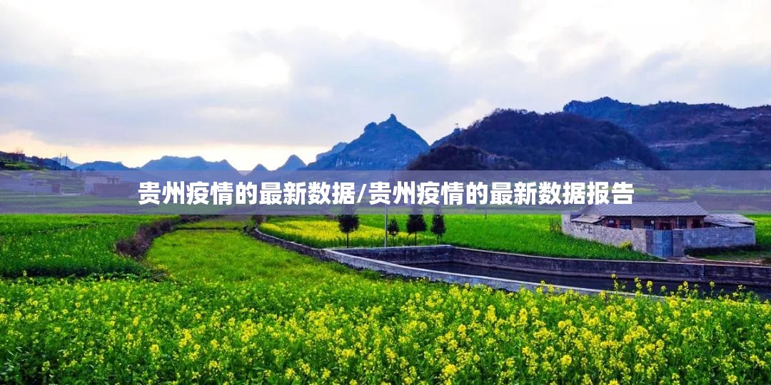 贵州疫情的最新数据/贵州疫情的最新数据报告