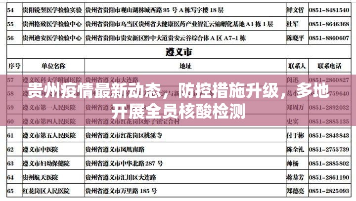 分享实测家乡大贰是不是有挂果然有挂