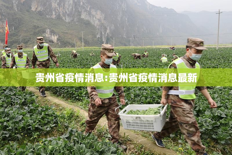 重磅.来袭玩牌可不可以开挂其实有挂其实有挂-知乎 重磅.来袭玩牌可不可以开挂其实有挂其实有挂-知乎