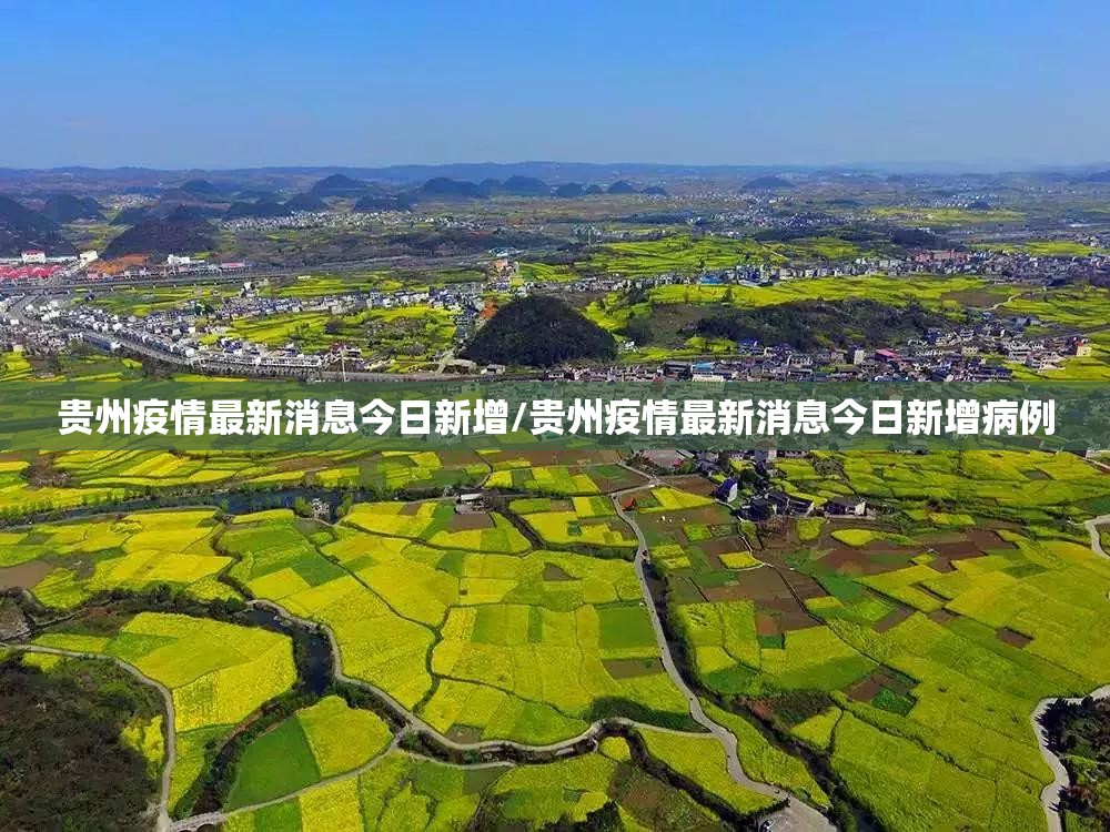 重大通报浙衢麻将必赢软件√必胜开挂神器