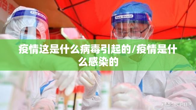 重大通报飞禽走兽有没有挂!(真的有挂)-知乎