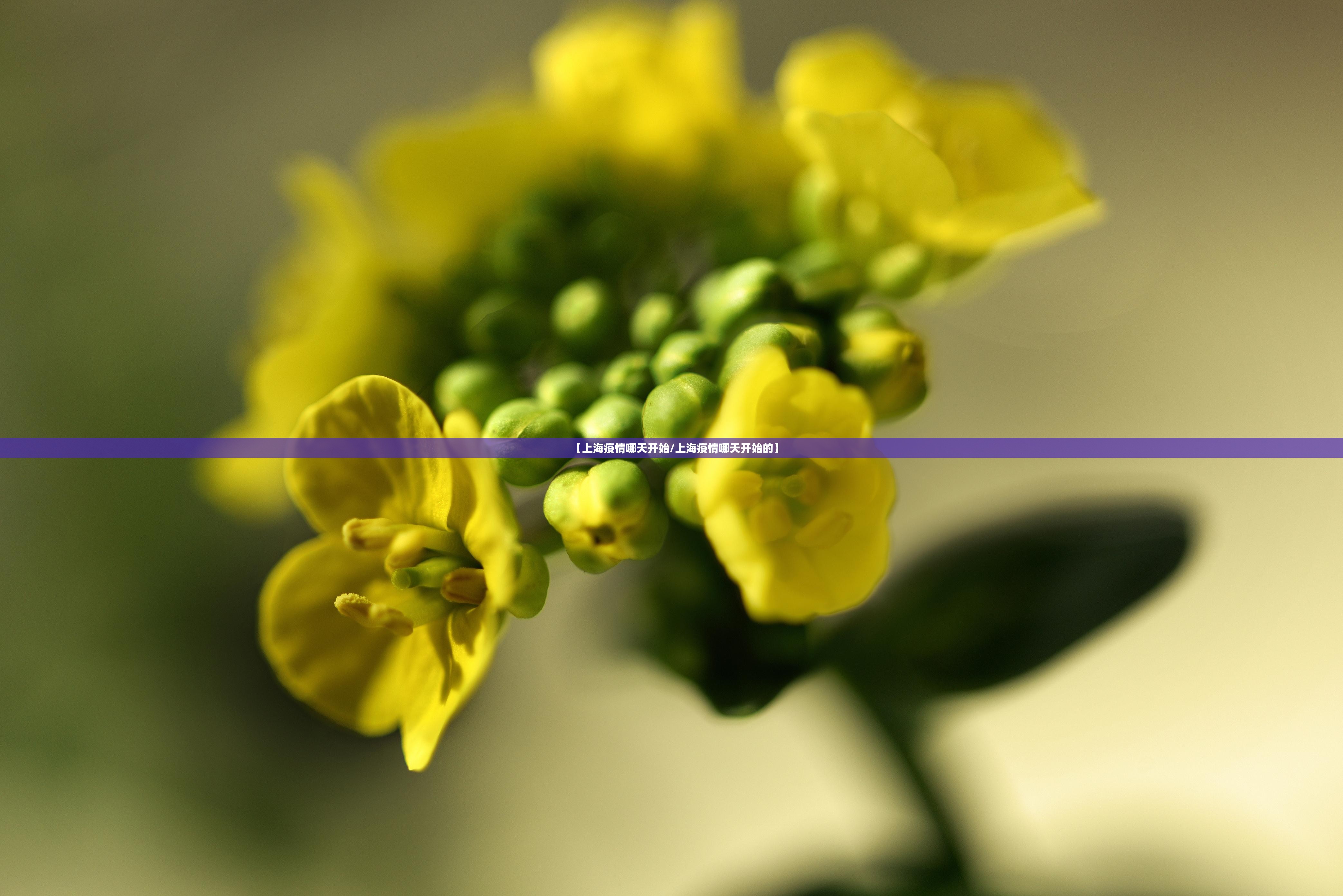 重磅.来袭“荔枝竞技有挂吗”2025(果然有挂) 重磅.来袭“荔枝竞技有挂吗”2025(果然有挂)