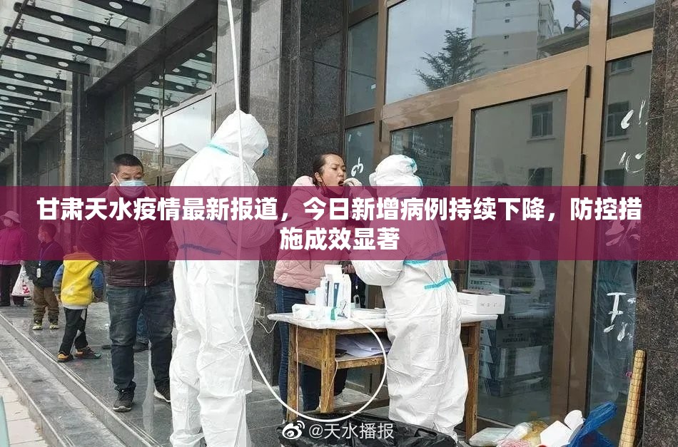 推荐一款“洋洋挖花可以装挂吗”其实有挂-知乎