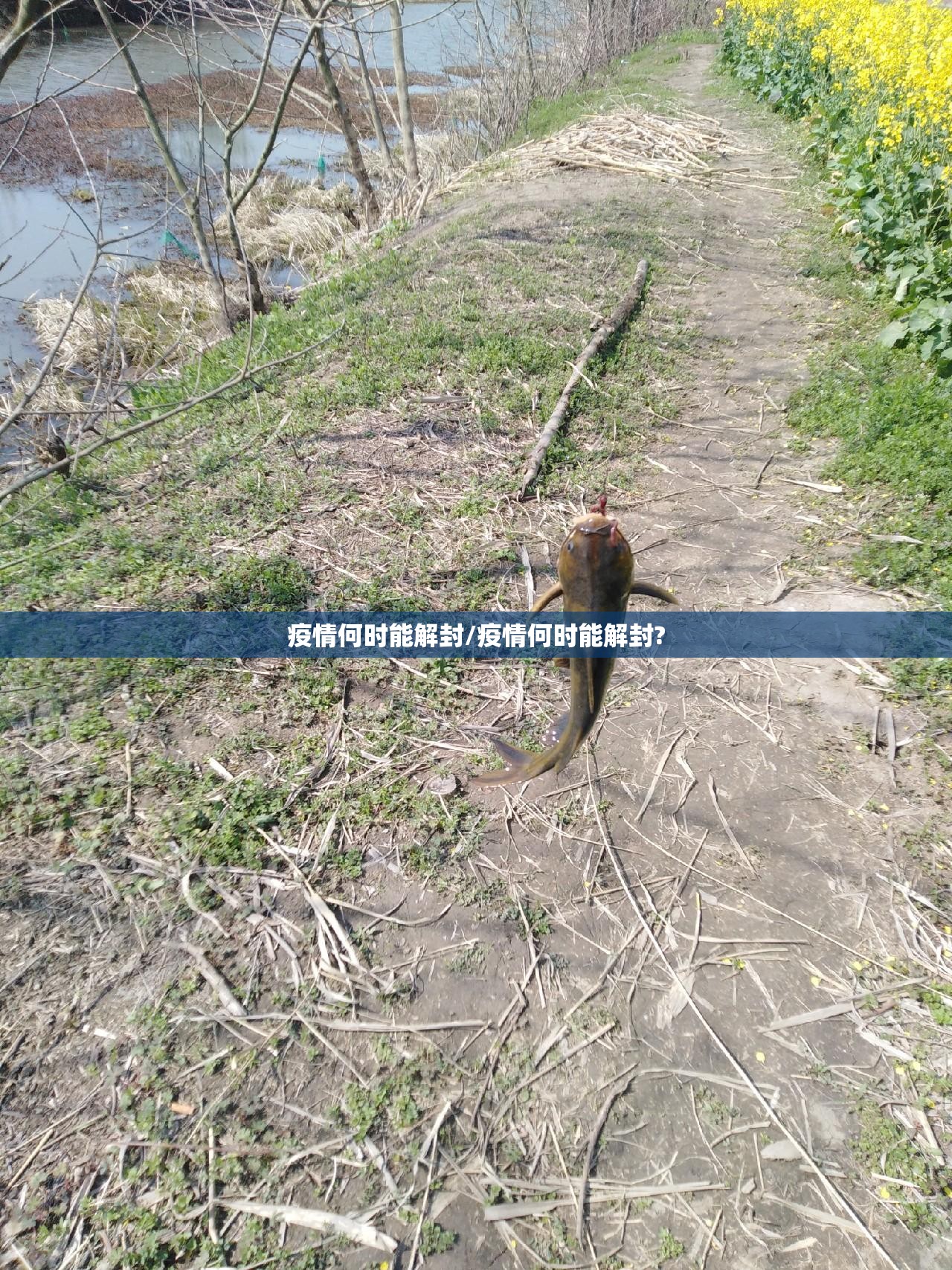 重大通报涡阳茶馆怎样开挂!@太坑了真的有挂 重大通报涡阳茶馆怎样开挂!@太坑了真的有挂