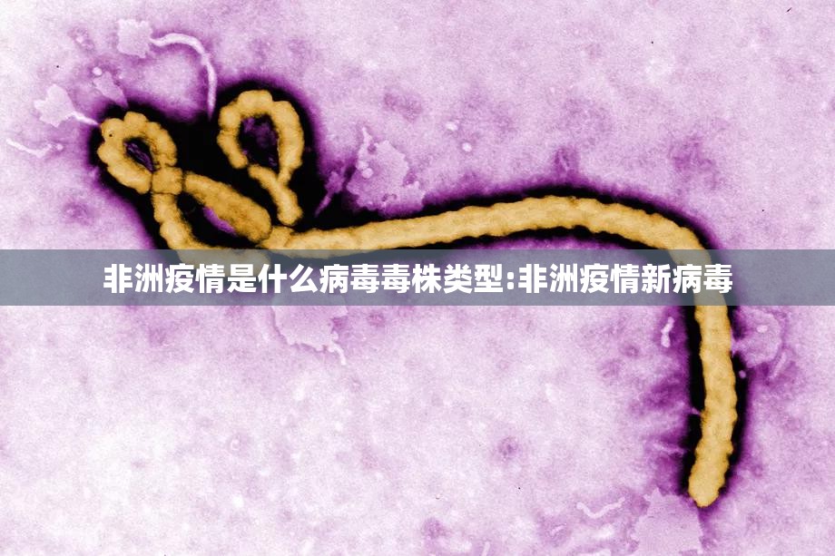 推荐一款捞腌菜其实是有挂的确实真的有挂