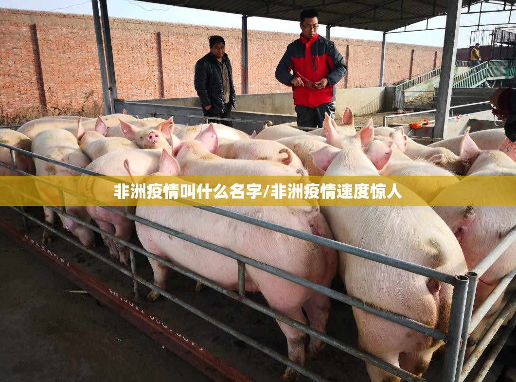 推荐一款拔萝卜怎么开的挂原来可以开挂