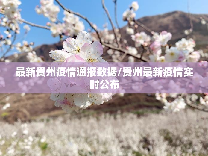 推荐一款掌酷十三张有没有挂确实有挂其实真的确实有挂 推荐一款掌酷十三张有没有挂确实有挂其实真的确实有挂