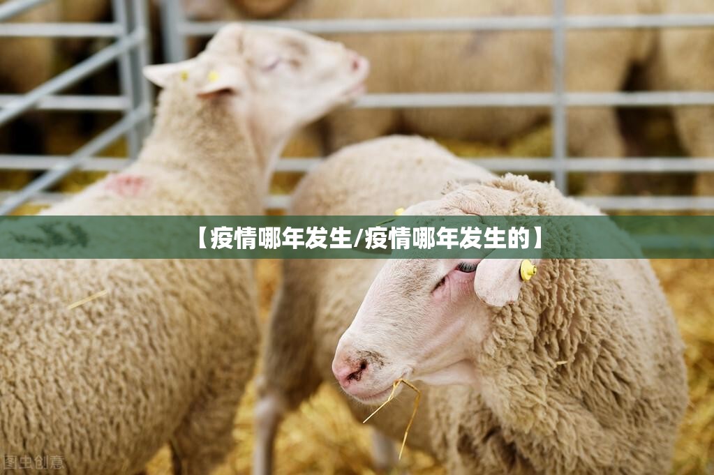 重大通报熊猫互娱到底真的有挂吗2025其实确实有挂 重大通报熊猫互娱到底真的有挂吗2025其实确实有挂