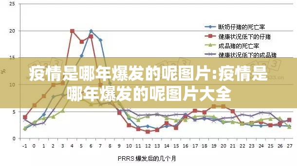 重磅.来袭飞禽走兽是否有挂2025（果然有挂）