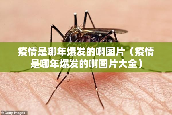 今日重大通报博雅曲靖棋牌挂!详细开挂教程确实真的有挂