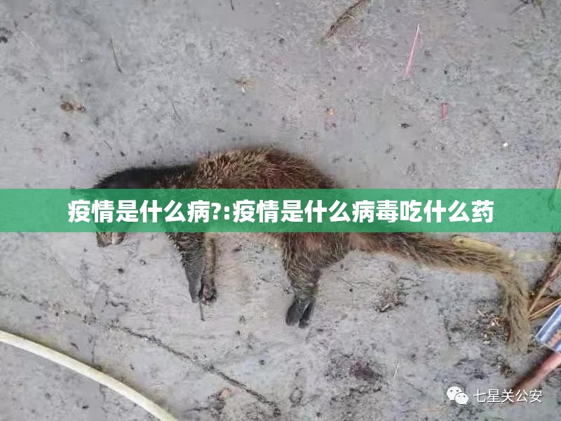 推荐一款柚子联盟有挂是真的√太坑了原来有挂 推荐一款柚子联盟有挂是真的√太坑了原来有挂