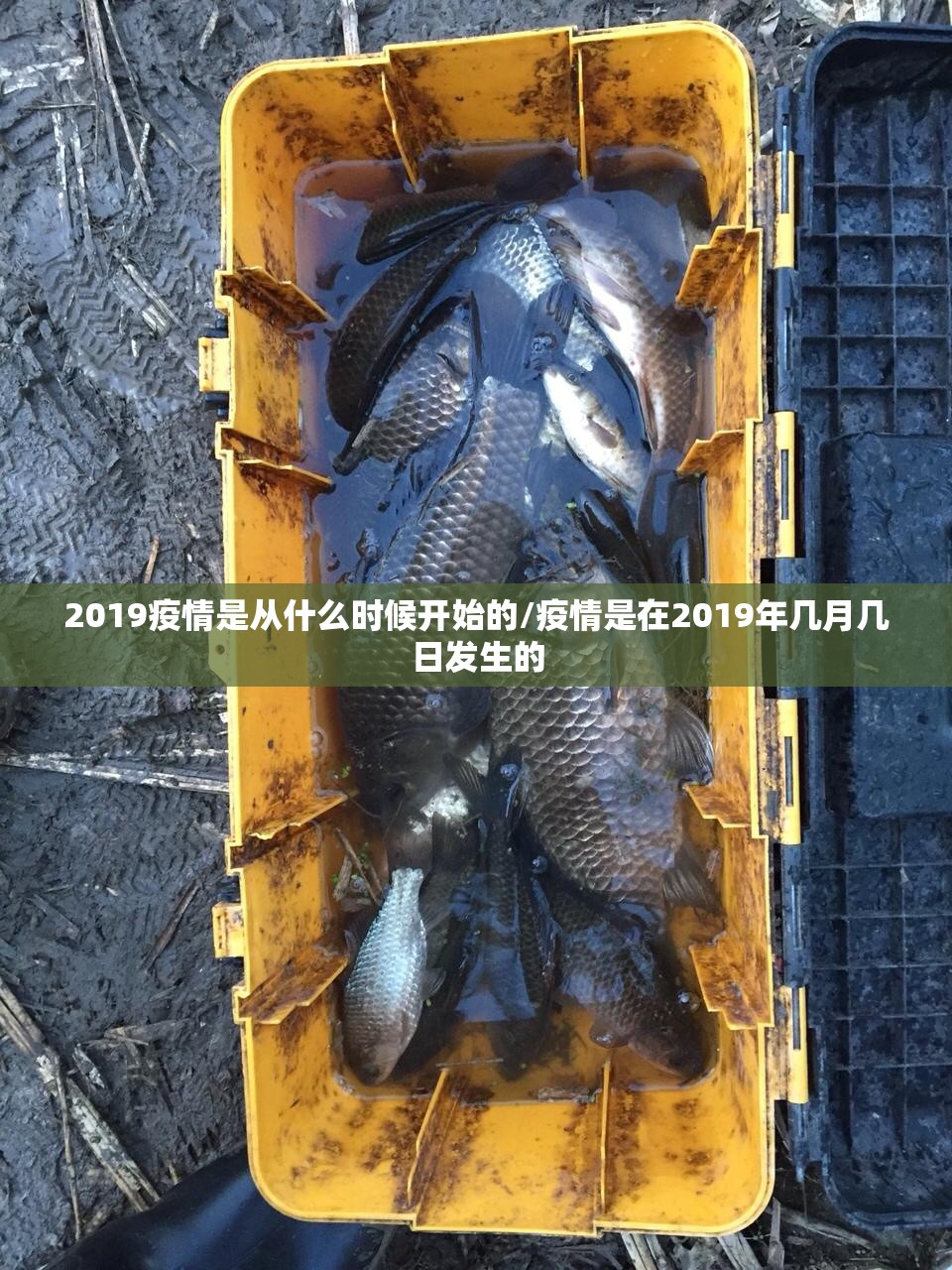 重大通报好运娱乐开挂神器下载原来真可以开挂