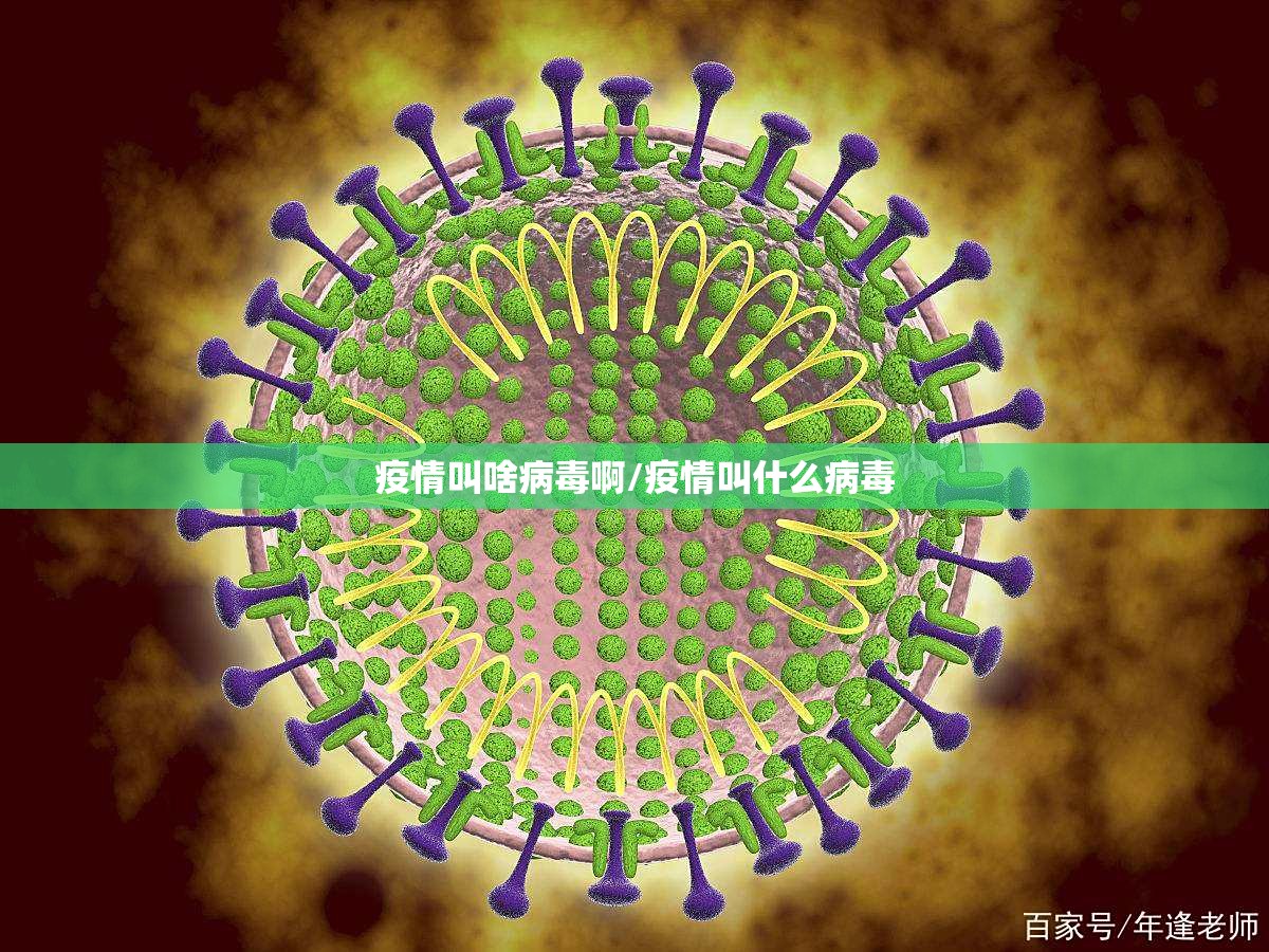 推荐一款经典联盟开挂是不是真的√其实是有挂 推荐一款经典联盟开挂是不是真的√其实是有挂