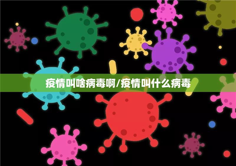 分享实测老友十三水真的可以开挂真的有挂真的确实有挂 分享实测老友十三水真的可以开挂真的有挂真的确实有挂