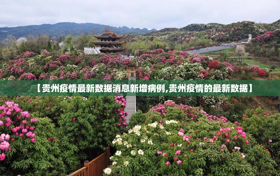推荐一款榕城510K开挂软件@太坑了真的有挂 推荐一款榕城510K开挂软件@太坑了真的有挂
