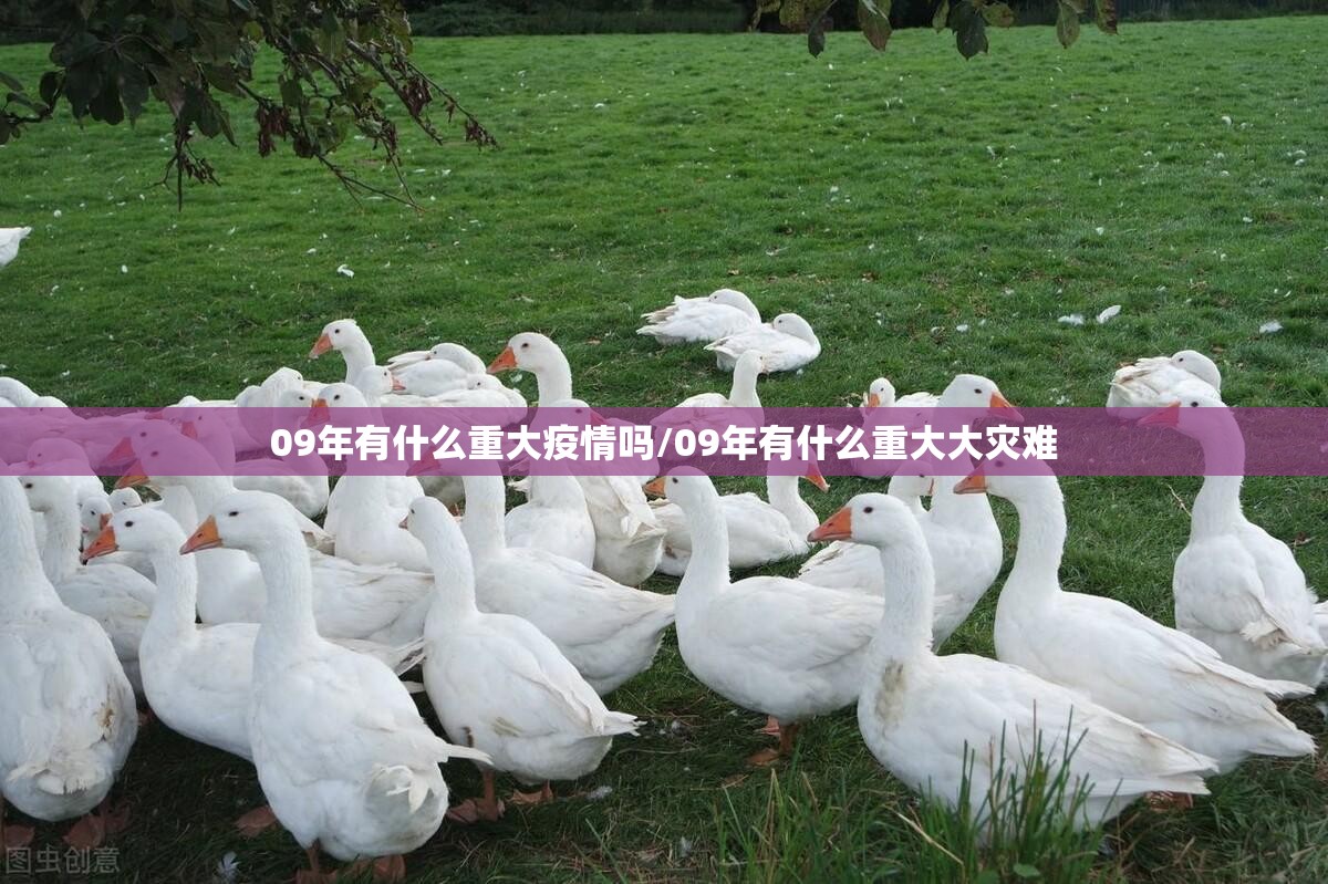 分享实测翻阳翻精可以开挂,真的有挂(其实真的能开挂)