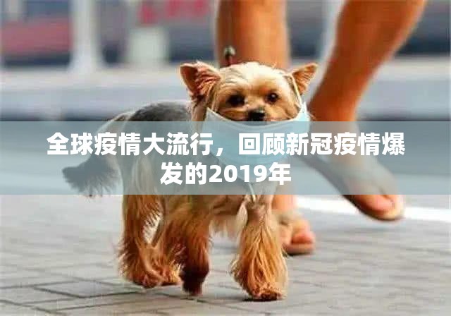 推荐一款宁波世纪茶馆原来确实可以开挂其实真的确实有挂 推荐一款宁波世纪茶馆原来确实可以开挂其实真的确实有挂