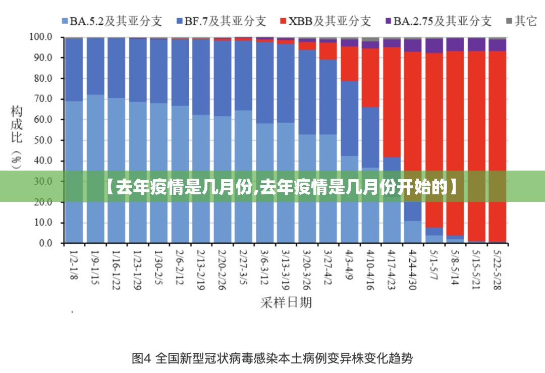 推荐一款中至赣牌圈包王“其实有挂”确实有挂果然有挂