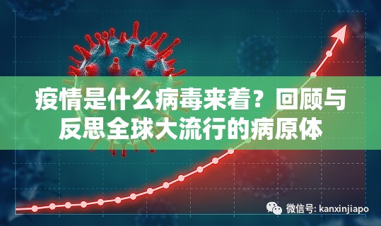 重大通报圣游其实有挂确实有挂(确实有挂)